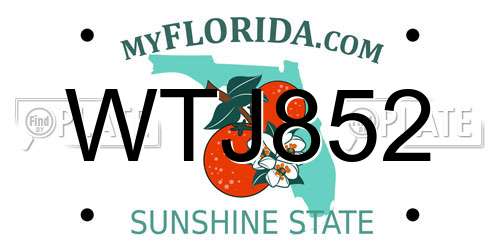 WTJ852 Florida License Plate