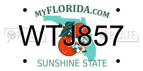 WTJ857 Florida License Plate