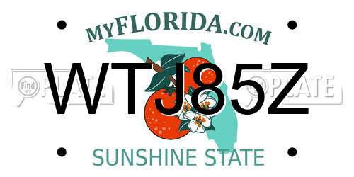 WTJ85Z Florida License Plate