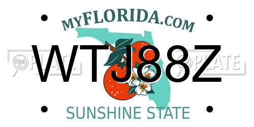 WTJ88Z Florida License Plate