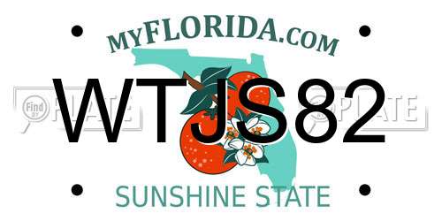WTJS82 Florida License Plate