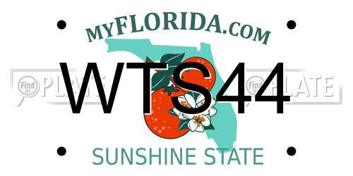 WTS44 Florida License Plate