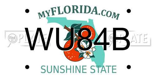 WU84B Florida License Plate
