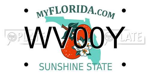 WV00Y Florida License Plate