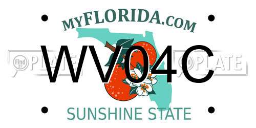WV04C Florida License Plate