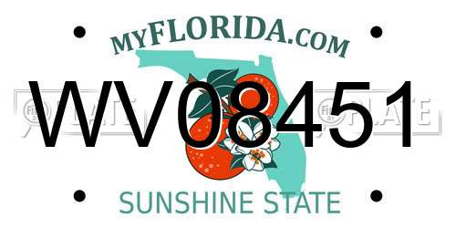 WV08451 Florida License Plate