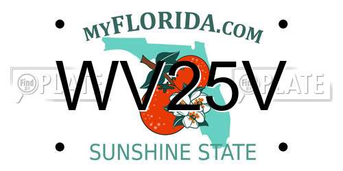 WV25V Florida License Plate
