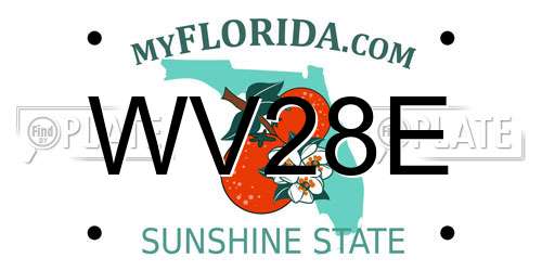 WV28E Florida License Plate