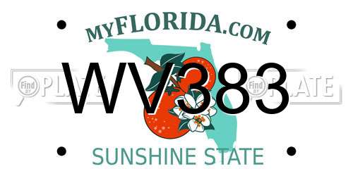 WV383 Florida License Plate