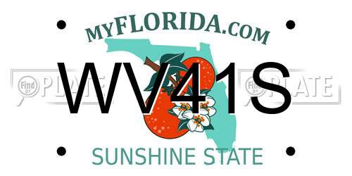 WV41S Florida License Plate