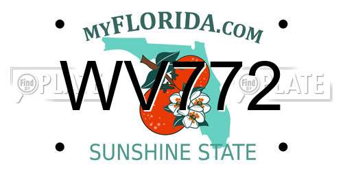 WV772 Florida License Plate