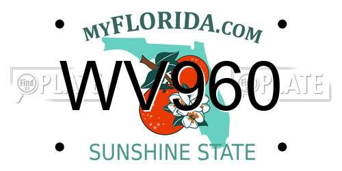 WV960 Florida License Plate