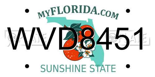 WVD8451 Florida License Plate