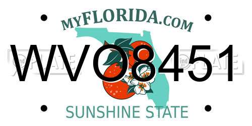 WVO8451 Florida License Plate