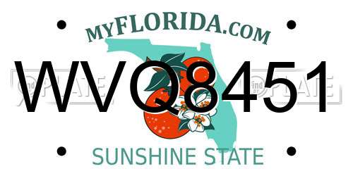 WVQ8451 Florida License Plate