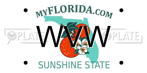 WVW Florida License Plate