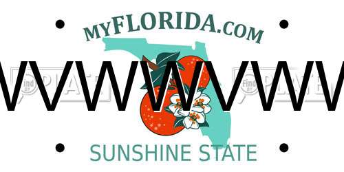 WVWWVWW Florida License Plate