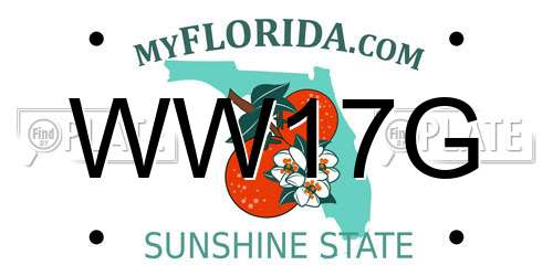 WW17G Florida License Plate