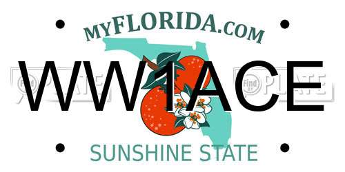 WW1ACE Florida License Plate