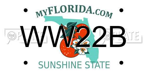 WW22B Florida License Plate