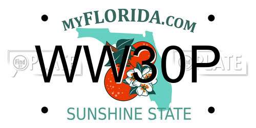 WW30P Florida License Plate