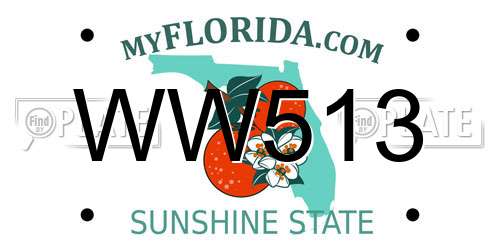 WW513 Florida License Plate