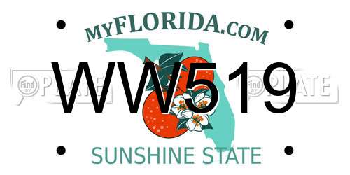WW519 Florida License Plate