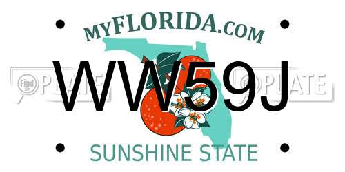 WW59J Florida License Plate