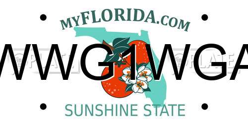 WWG1WGA Florida License Plate