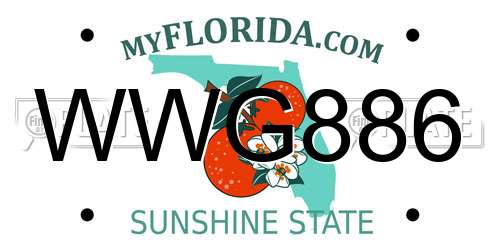 WWG886 Florida License Plate