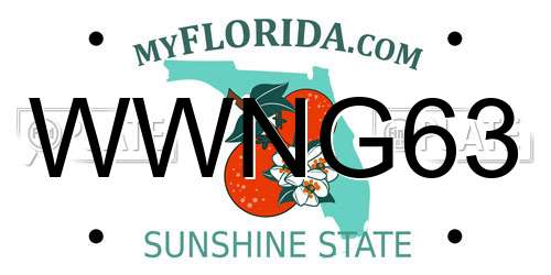WWNG63 Florida License Plate