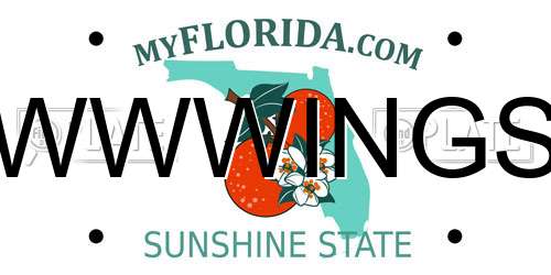 WWWINGS Florida License Plate