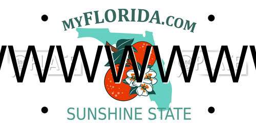 WWWWWWW Florida License Plate