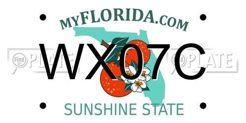 WX07C Florida License Plate