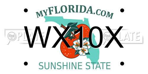 WX10X Florida License Plate