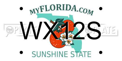 WX12S Florida License Plate