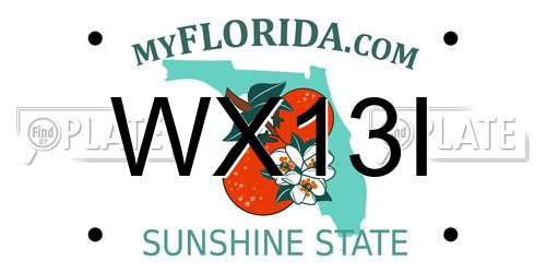 WX13I Florida License Plate