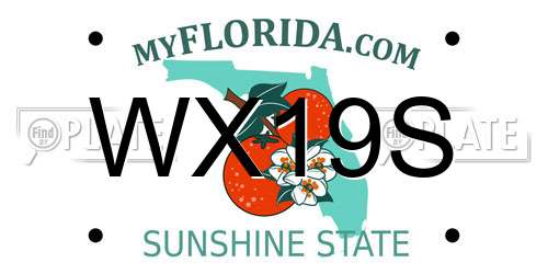 WX19S Florida License Plate