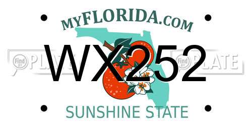 WX252 Florida License Plate