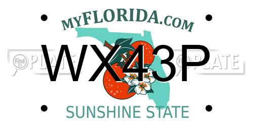 WX43P Florida License Plate