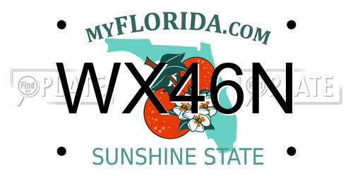 WX46N Florida License Plate