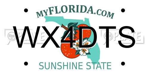 WX4DTS Florida License Plate