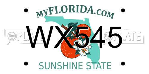 WX545 Florida License Plate