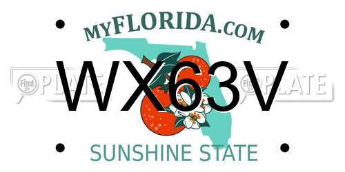 WX63V Florida License Plate