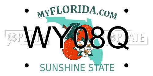 WY08Q Florida License Plate