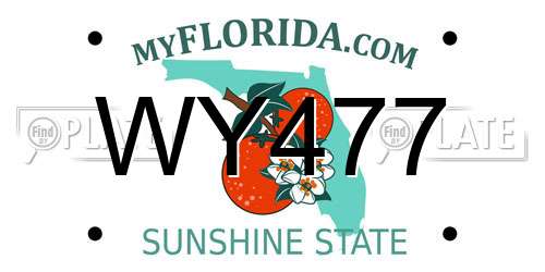 WY477 Florida License Plate