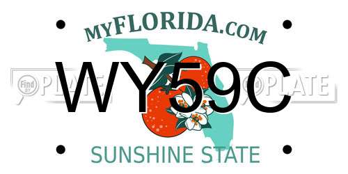 WY59C Florida License Plate