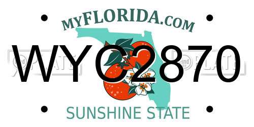 WYC2870 Florida License Plate