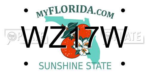 WZ17W Florida License Plate