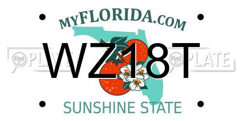 WZ18T Florida License Plate